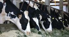 Оборудование для животноводов и растениеводов: лучшие предложения